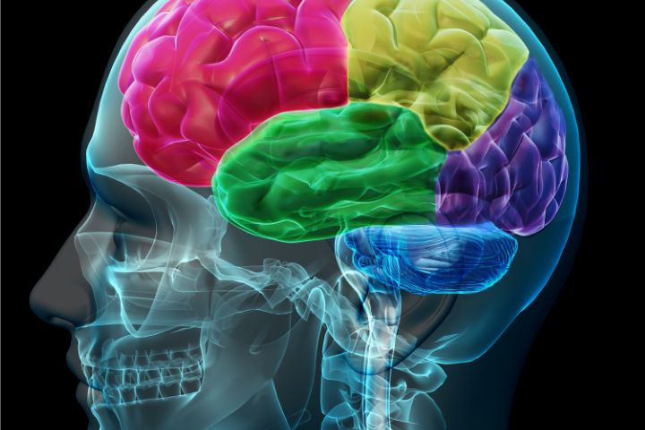 Introducción a la estimulación transcraneal por corriente directa (tDCS). Principales aplicaciones en psicología y neuropsicología